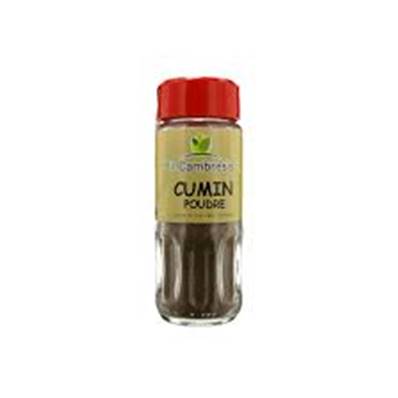 Cumin en poudre