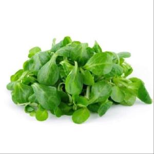 Mâche bio - 500g