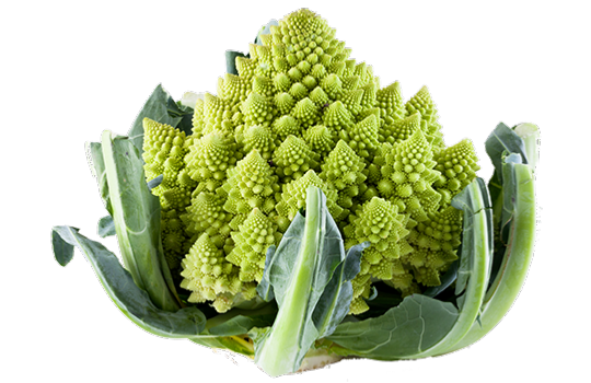 Chou romanesco BIO pièce