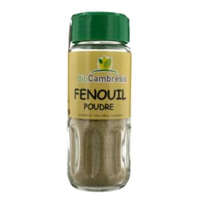 Fenouil en poudre