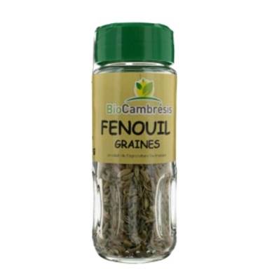 Fenouil graines