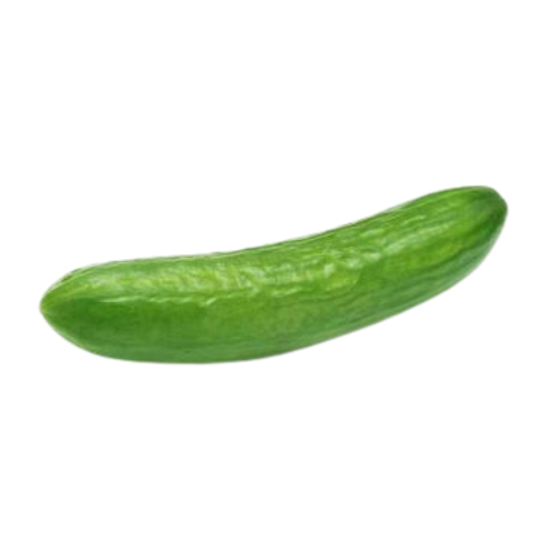Concombre bio