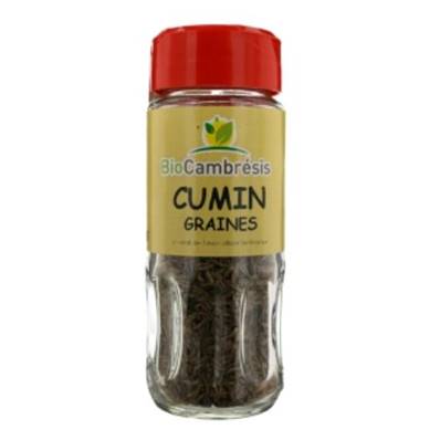 Cumin grains - 30g