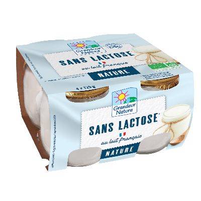 Yaourts nature sans lactose 4x125g