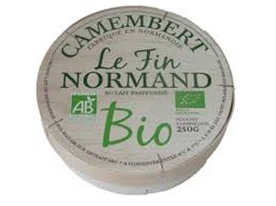 Camembert au lait pasteurisé 250gr