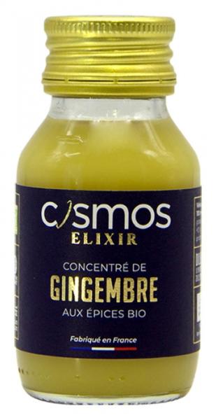 Concentré de gingembre et épices 52mL