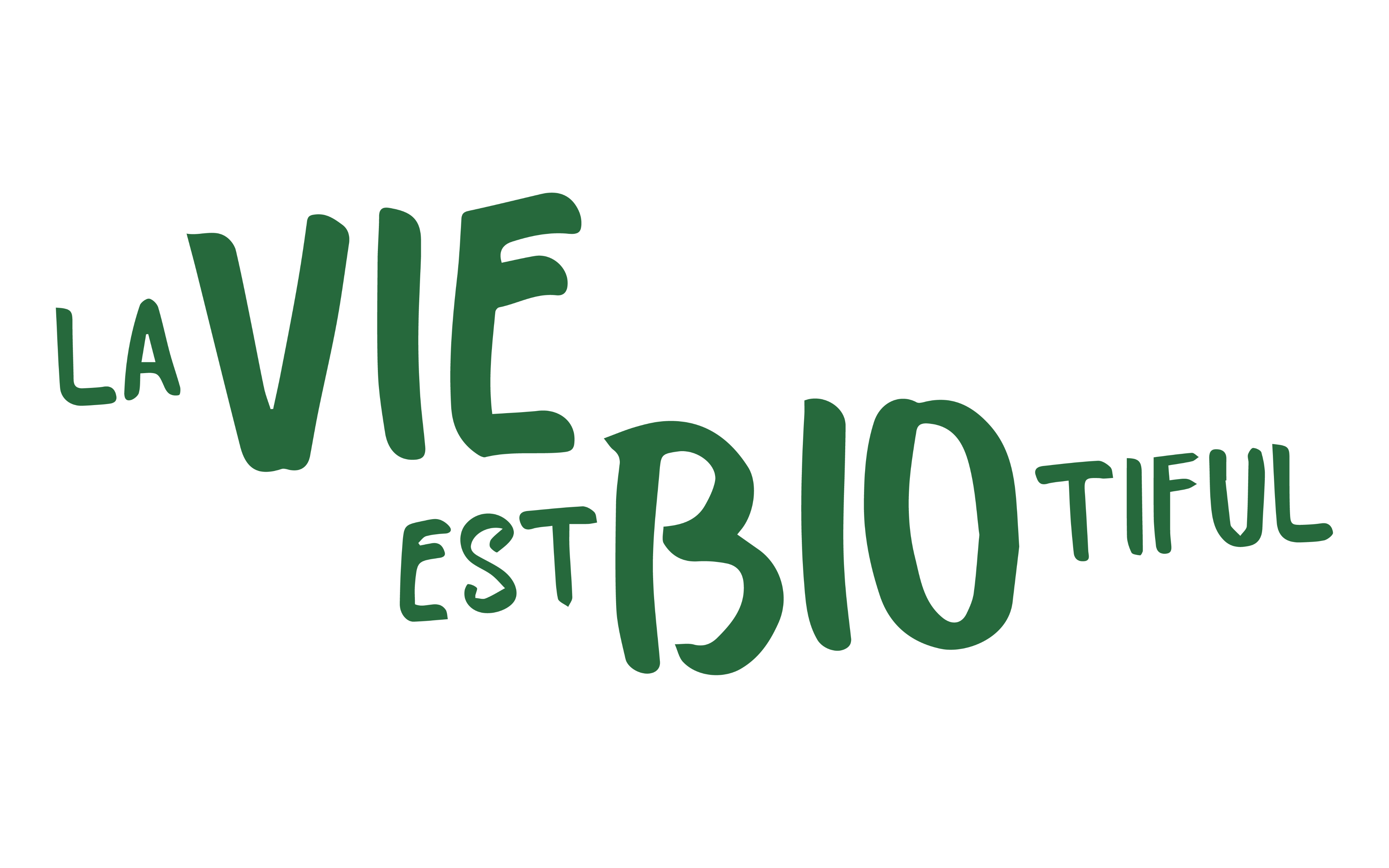 picerie Bio  Lille